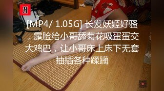 [2DF2]蜜桃影像传媒 旗袍的淫荡诱惑 强迫旗袍女佣人 2 [MP4/280MB][BT种子]