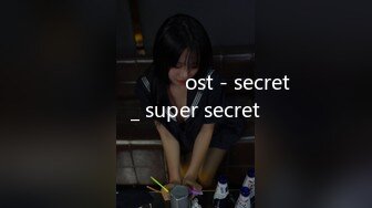 말할 수 없는 비밀 ost - secret 편곡 _ super secret