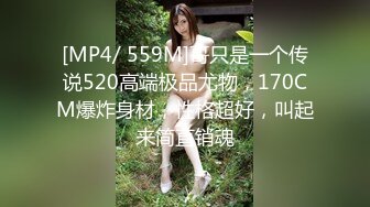 [307DAYD-015] ニートの妹は隠れ巨乳のHカップ！そしてニートになった僕との真っ昼間､兄妹水入らず2人っきりのいやらしい時間！！ 西尾れむ