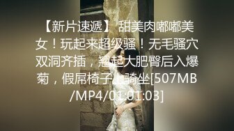 [MP4/ 738M]&nbsp;&nbsp;极品萝莉户外性体验调教玩操制服萝莉小母狗 电影院做爱 摩天轮爆 网吧JK跪舔 车震爆