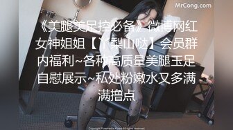 《究极核弹✅泄密》九头身极品巨乳OnlyFans反差女神Npxvip私拍，顶级骚货专用精盆细腰丰乳肥臀，男人泄欲神器 (17)