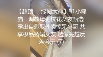 性感亮丝极品美少妇（长篇）（含平地cd）