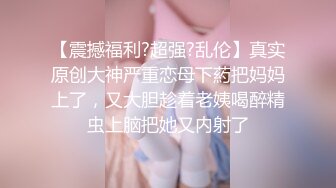 女仆主题系列第二集