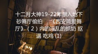 【新片速遞 】&nbsp;&nbsp;麻豆传媒 MD0190-5 我是苏畅 我回来了 EP5 海滩露出玩弄雪白巨乳 苏畅【水印】[625MB/MP4/23:30]