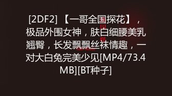 十二月最新流出魔手外购极品厕拍《G校极品学生妹》(靓妹、名器篇)