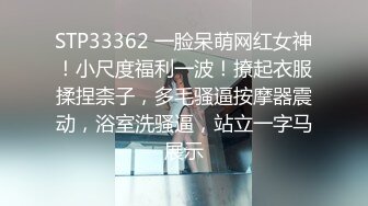 STP33362 一脸呆萌网红女神！小尺度福利一波！撩起衣服揉捏柰子，多毛骚逼按摩器震动，浴室洗骚逼，站立一字马展示