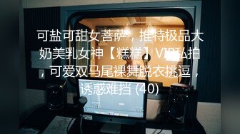 可盐可甜女菩萨，推特极品大奶美乳女神【糕糕】VIP私拍，可爱双马尾裸舞脱衣挑逗，诱惑难挡 (40)