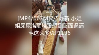 邂逅单位极品小阿姨，完美炮架露脸内射【完整版18分钟已上传到简阶】