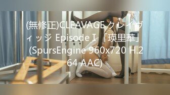 (無修正)CLEAVAGE クレイヴィッジ EpisodeⅠ「瑛里華」 (SpursEngine 960x720 H.264 AAC)