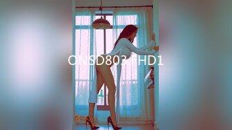 黏黏团子兔 NO.039 女仆小叽