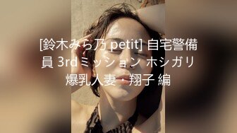 [鈴木みら乃 petit] 自宅警備員 3rdミッション ホシガリ爆乳人妻・翔子 編