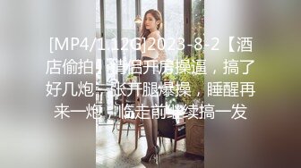 [2DF2]小陈头星选约了个白衣马尾高颜值妹子，调情舔弄特写摸逼骑乘猛操 [MP4/155MB][BT种子]