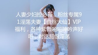 人妻少妇控必备，粉丝专属91淫荡夫妻【盘丝大仙】VIP福利，各种紫薇啪啪呻吟声好听，对话超级淫荡