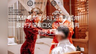 [MP4]肉肉少妇 近距离视角摸奶子深喉口交 骑乘抽插再到床上操