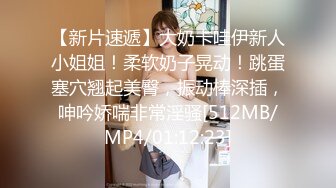 (中文字幕)艶乳 ～おっぱいマニアックス～ 尾上若葉