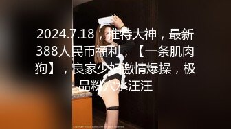 颜值巅峰秀人网女神模特【鹿依】私拍视图流出，道具紫薇援交金主又舔又抠啪啪 (2)