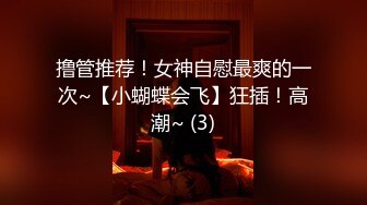 撸管推荐！女神自慰最爽的一次~【小蝴蝶会飞】狂插！高潮~ (3)