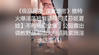 《极品反差_淫妻泄密》推特火爆淫荡翘臀骚母狗【芬姬夏妓】不雅私拍全集，公园露出调教野战潮喷大号道具紫薇淫水泛滥 (5)