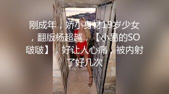 肉肉黑丝大肥屁股的微胖少妇，道具插入大鲍鱼中，巨乳大奶，自己还尝试自己淫水