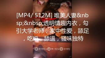 [MP4/ 512M] 唯美人妻&nbsp;&nbsp;透明情趣内衣，勾引大学老师，家中性爱，舔足，吃奶，舔逼，骚味独特